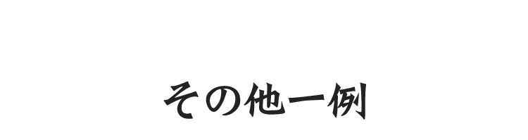 その他一例